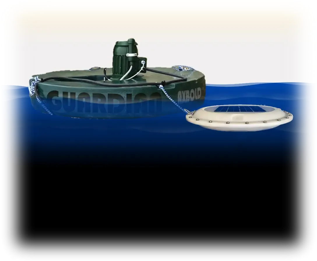 An Axbold nanobubble generation system deployed on open water
