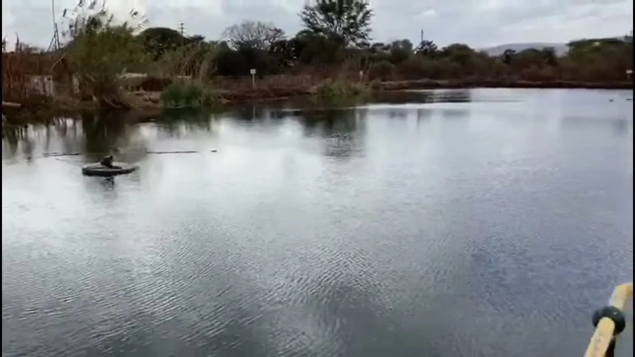 An Axbold Guardian floating on a treatment pond, seen from the bank